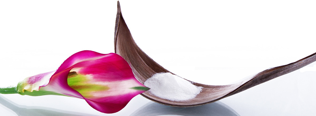 Headerimage